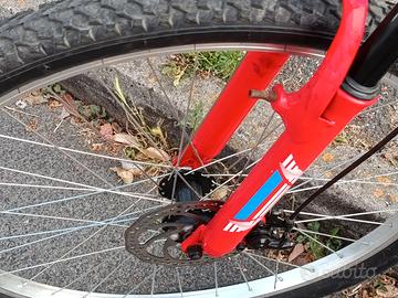 Bicicletta Mountain bike marca Hogan blu e rossa .