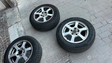 Cechi gomme