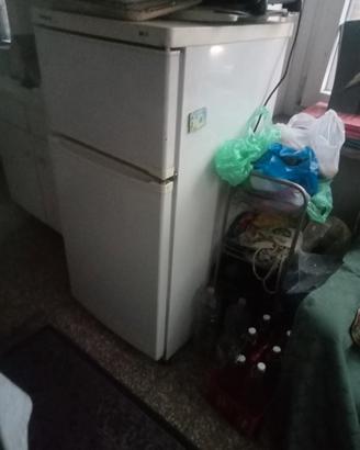 frigo 