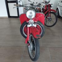 Moto Guzzi Galletto 192 anno 1956