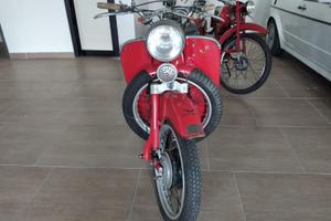 Moto Guzzi Galletto 192 anno 1956