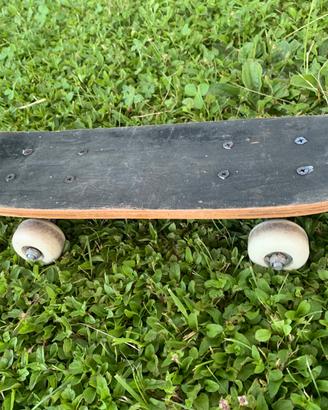 Skate board