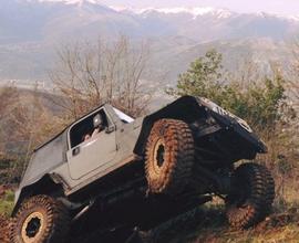 JEEP TJ 4.0 Anno 2000