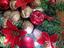Immagine 4
