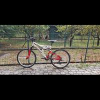 biciclette + porta bici