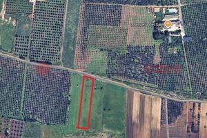 Terreno Agricolo Manduria [1238VCG]