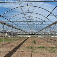 Serre agricole