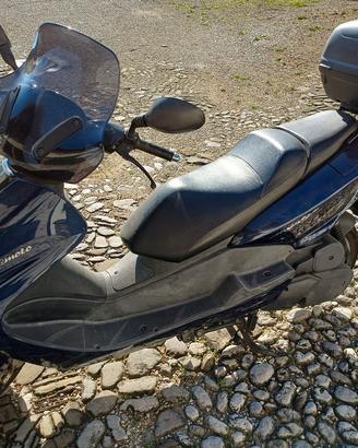 Yamaha majestic 125