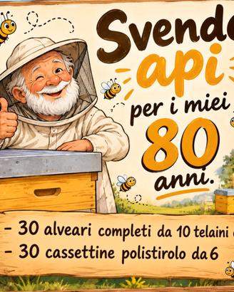 Alveari e api