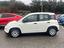 Immagine 7