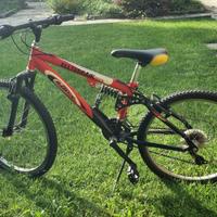 Bicicletta ragazzo 24"