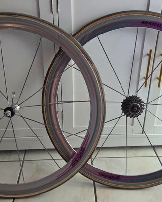 Coppia ruote Campagnolo Shamal 12 HPW