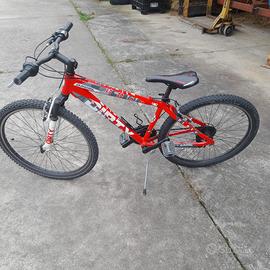 Bici da ragazzo