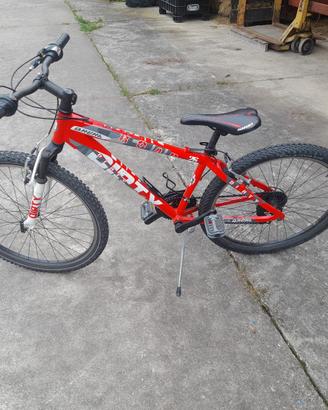 Bici da ragazzo