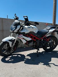 Moto Benelli BN 125