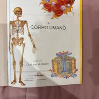 Libri per bambini sul corpo umano