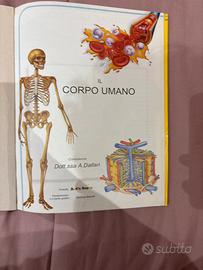 Libri per bambini sul corpo umano