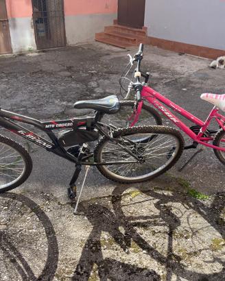 Bicicletta