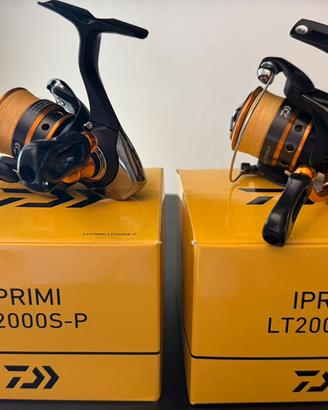 Iprimi 24 2000s-p trout area