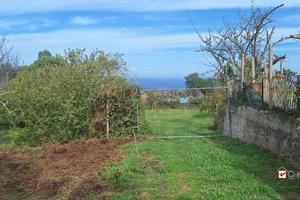 Castanea,terreno agricolo di circa 3300mq,