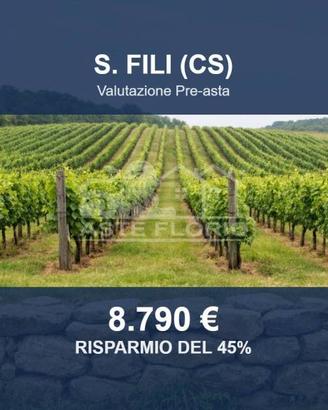 Immobile in asta di 18080 m² a San Fili