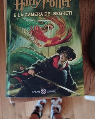 Harry Potter e la camera dei segreti (2)