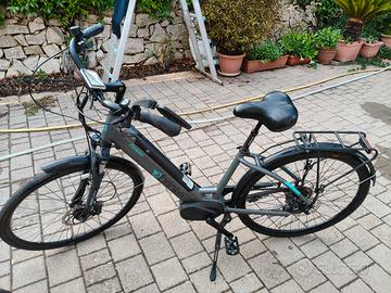 Bici elettrica 