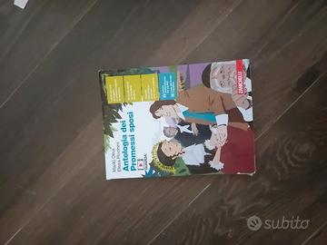 promessi sposi scuola