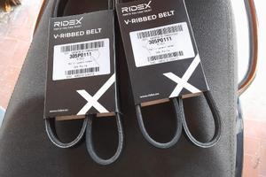 Cinghie distribuzione Ridex