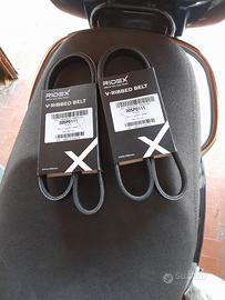 Cinghie distribuzione Ridex