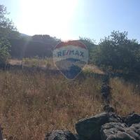 Terreno Edificabile - Linguaglossa