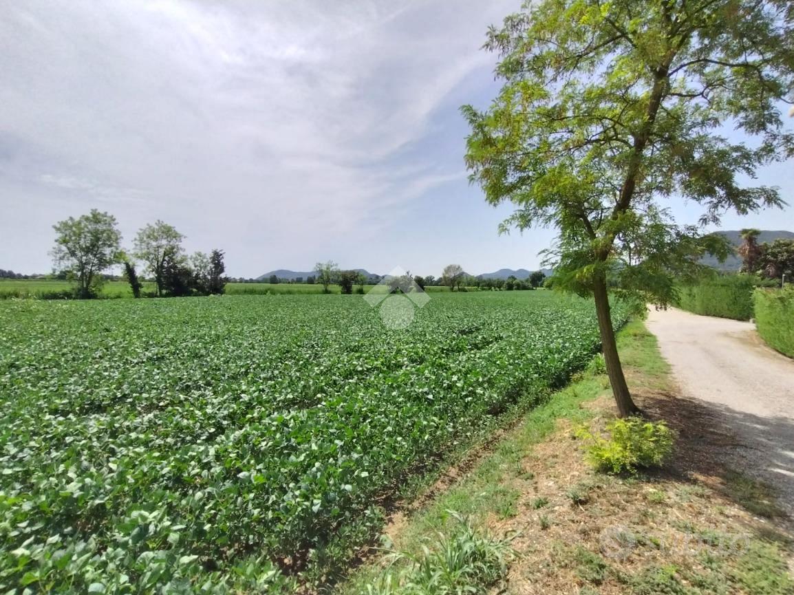 TER. AGRICOLO A ROVOLON - Vista 5