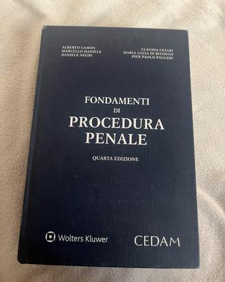 Fondamenti di procedura penale