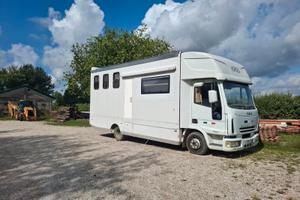 Iveco trasporto cavalli