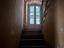 Immagine 13