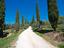 Immagine 25