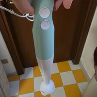 minipimer a immersione 