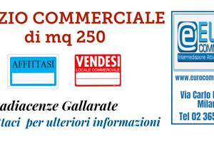019/25 SPAZIO COMMERCIALE di mq 250 zona Varese