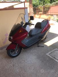 Magesty 250