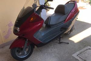 Magesty 250