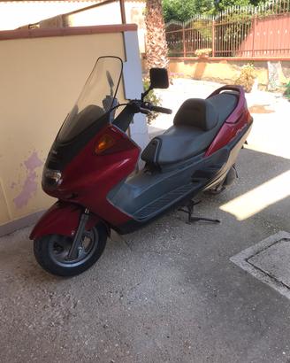 Magesty 250