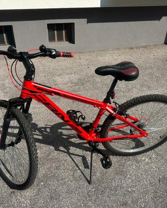 MTB Torpado 26” ragazzo - Shimano 21 velocità