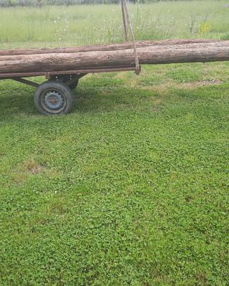 travi castagno 100 anni 