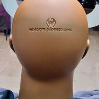 Manichini professionali da vetrina – linea premium