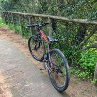 Bici mountain bike