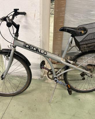 Bicicletta Dedalo con cestino posteriore