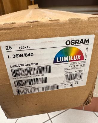 Neon Osram