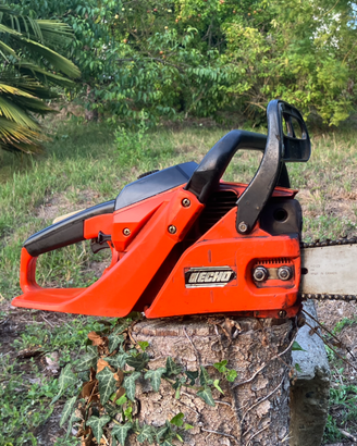 ECHO CS-3900 MOTOSEGA PROFESSIONALE 