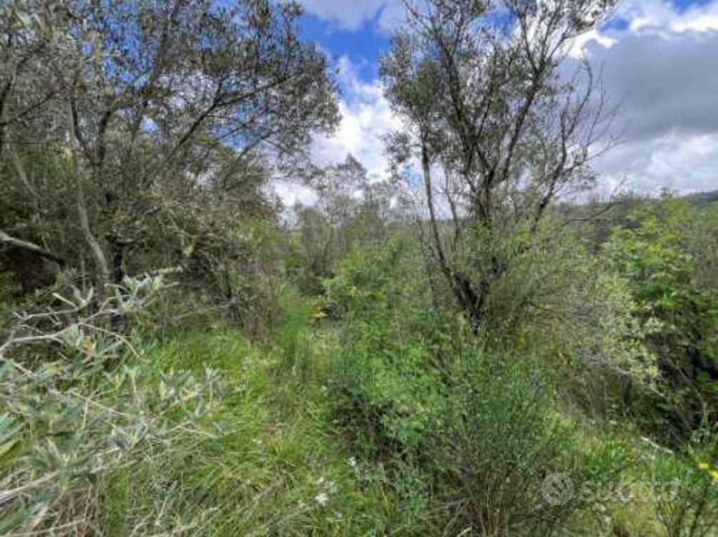 Immobile in asta di 10430 m² a San Venanzo - Vista 5
