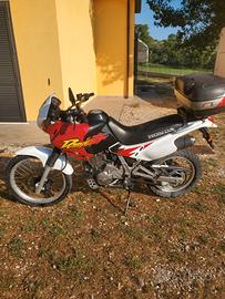 HONDA DOMINATOR